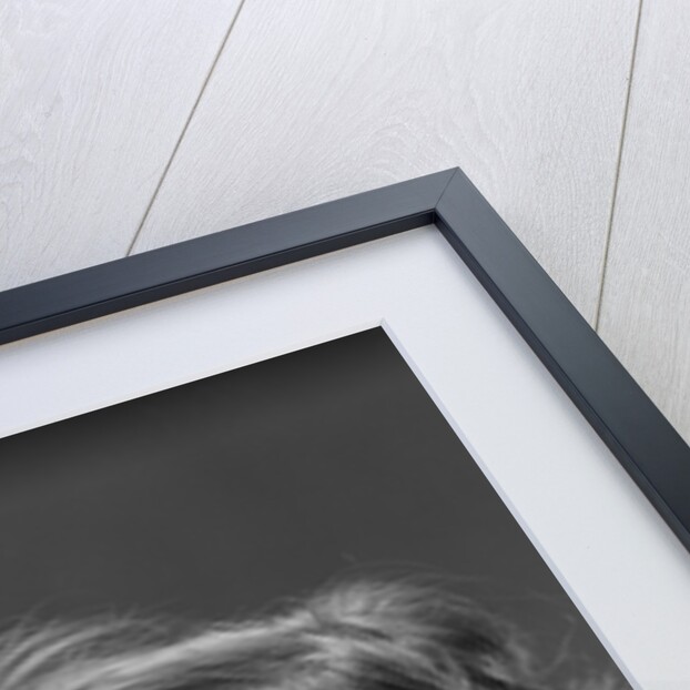 Portrait brunette little girl with surprised amazed facial expression by Anonymous