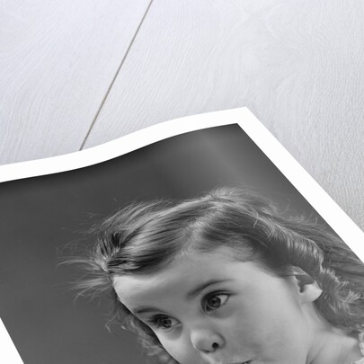 Portrait brunette little girl with surprised amazed facial expression by Anonymous