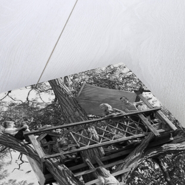 Kids playing in tree house by Anonymous