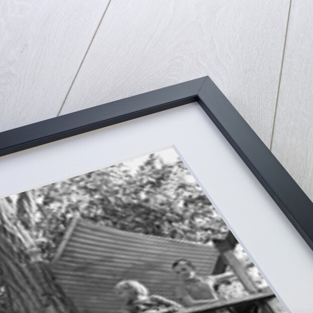 Kids playing in tree house by Anonymous