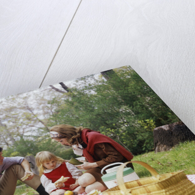 Family mother father girl spring picnic on checkered tablecloth by Anonymous