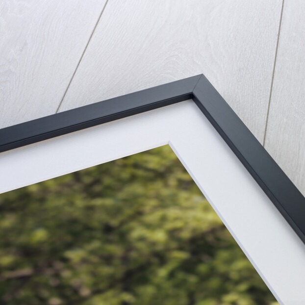 Boy wearing bib overalls blowing on dandelion head by Anonymous