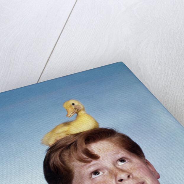 Boy with baby duckling sitting on top of his head by Anonymous