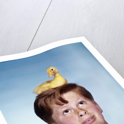 Boy with baby duckling sitting on top of his head by Anonymous