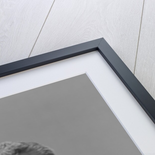 Male doctor holding stethoscope by Anonymous