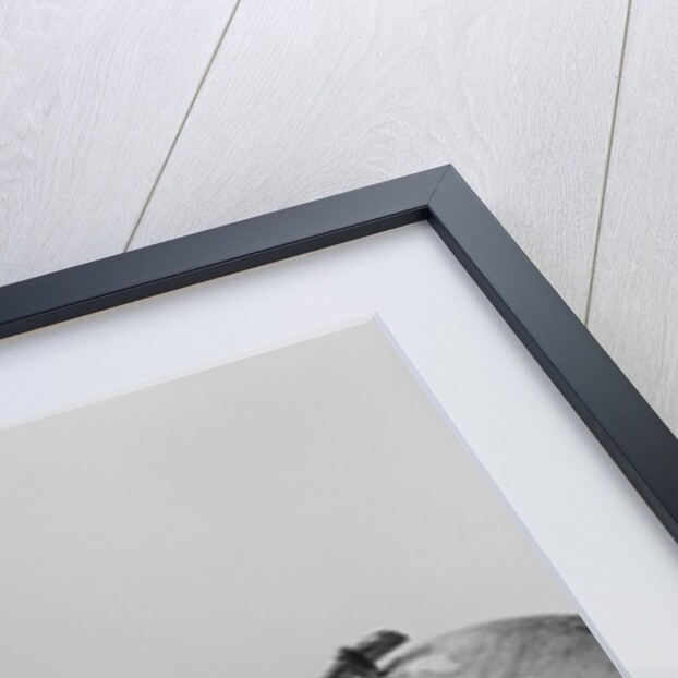 Smiling man sitting at desk with earth globe by Anonymous