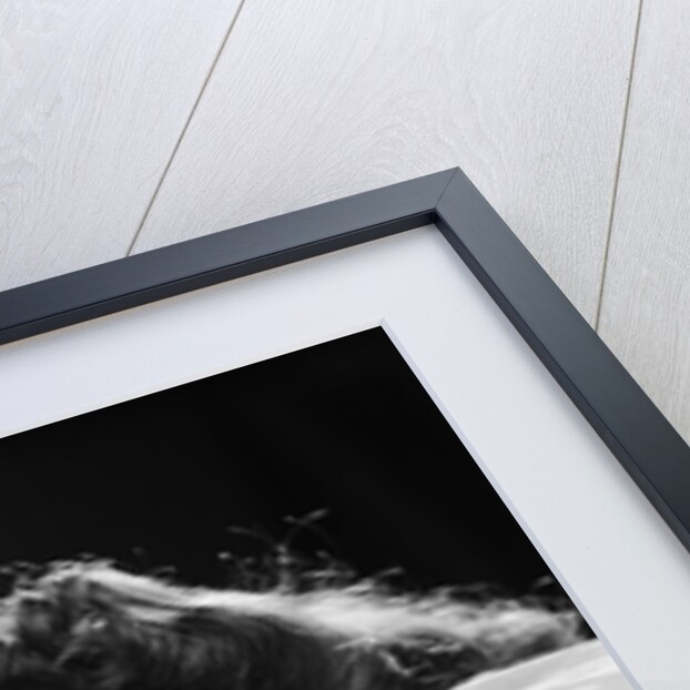 Girl sleeping head on pillow by Anonymous