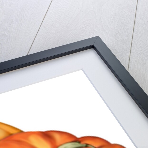 A picture of three pumpkins by Anonymous