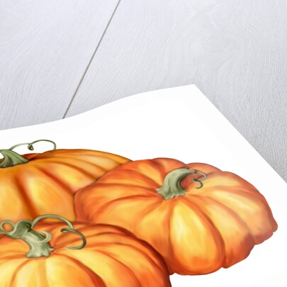 A picture of three pumpkins by Anonymous