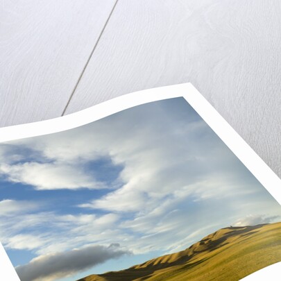 Grazing farmland hills and cumulus clouds, evening, South Island, New Zealand by Anonymous