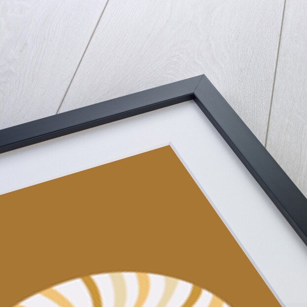 A snail by Anonymous