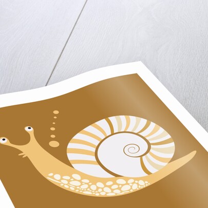 A snail by Anonymous