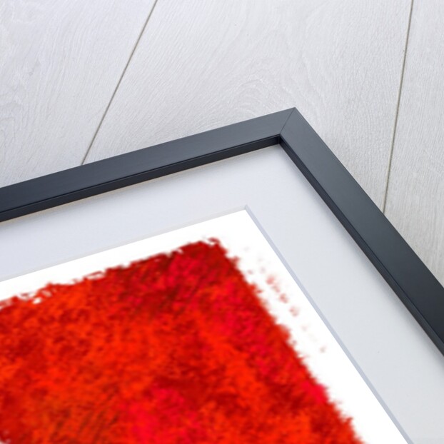 Drawing of the flag of Mexico by Anonymous