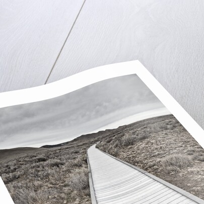 Boardwalk through the desert by Anonymous