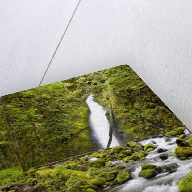 Ruckel Creek Falls by Anonymous