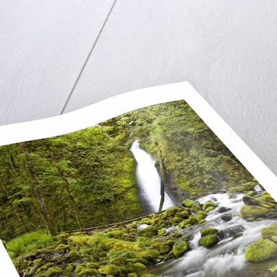 Ruckel Creek Falls by Anonymous