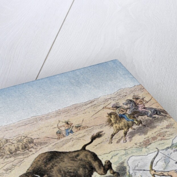 Native American men hunting bison by Anonymous