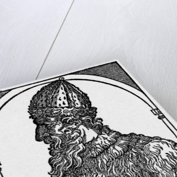 Ivan the Terrible by Anonymous