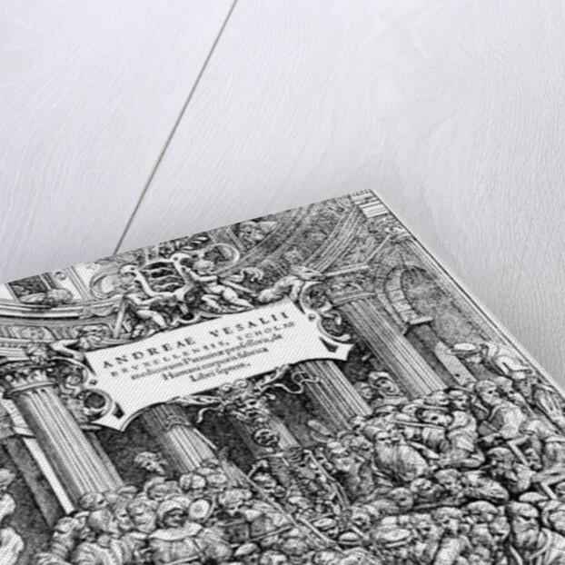 Title page of Andreas Vesalius "De Humani Corporis Fabrica" by Anonymous
