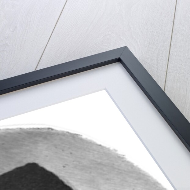 Vlad Tepes by Anonymous