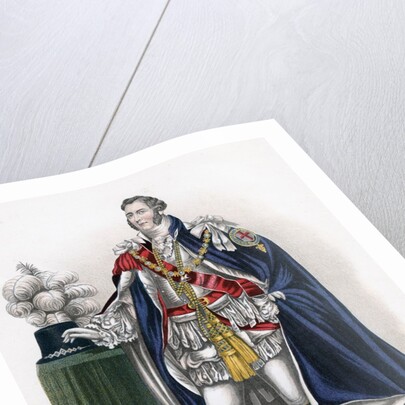 Member of the Order of the Garter by Anonymous