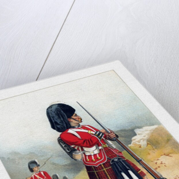 The 79th Queen's Own Cameron Highlanders by Anonymous