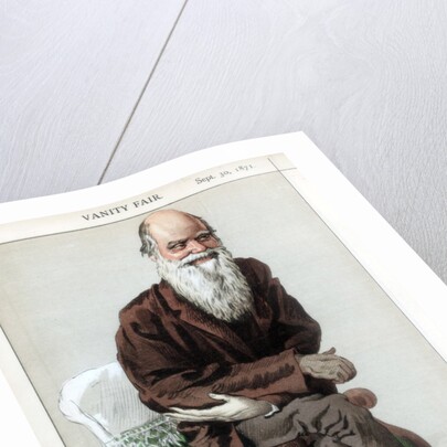 Caricature of Charles Darwin by Anonymous