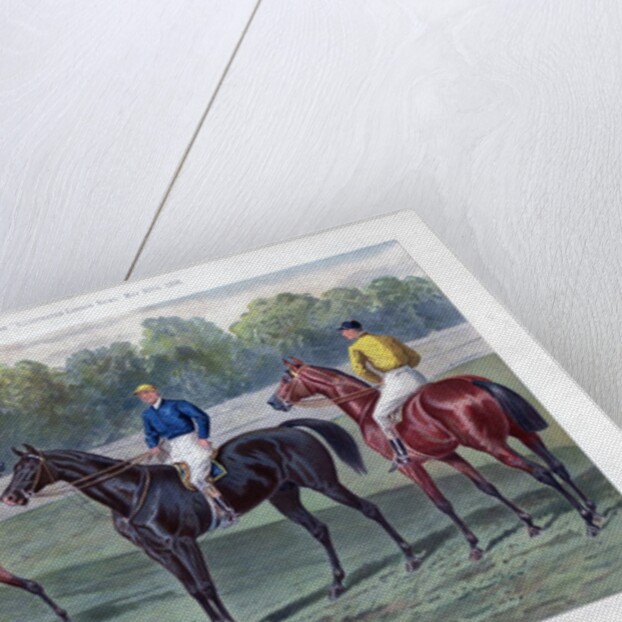 The Derby Favourites by Anonymous