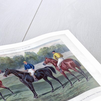 The Derby Favourites by Anonymous