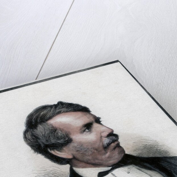 David Livingstone by Anonymous