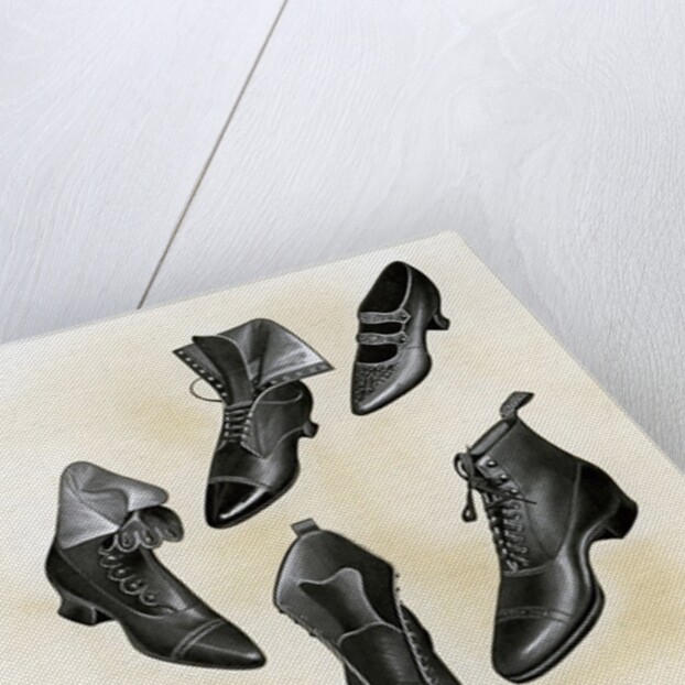 Variety of shoes and boots by Anonymous