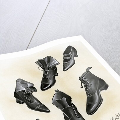 Variety of shoes and boots by Anonymous