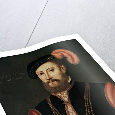 Lord Darnley by Anonymous