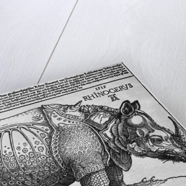 Rhinoceros by Albrecht Dürer
