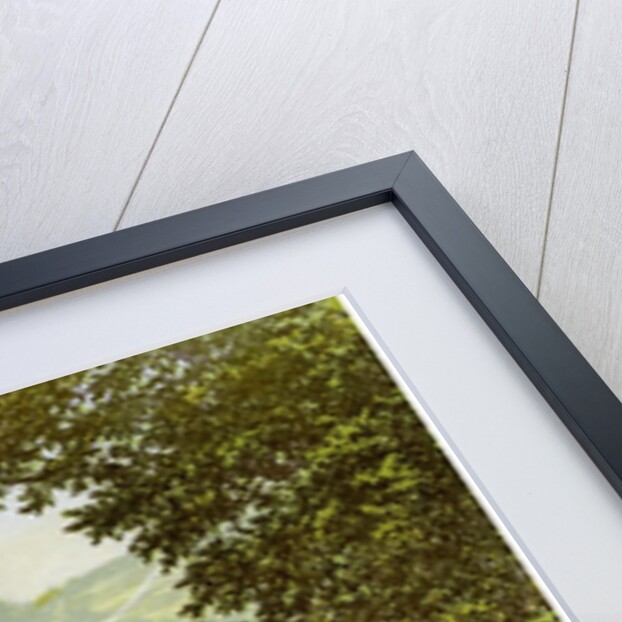 Hampton Court by Anonymous