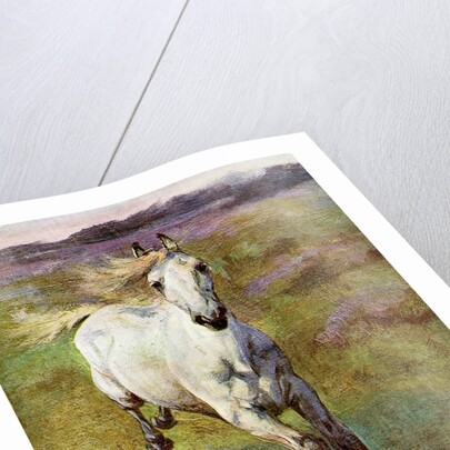 Study from life for Colt Hunting in the New Forest by Anonymous