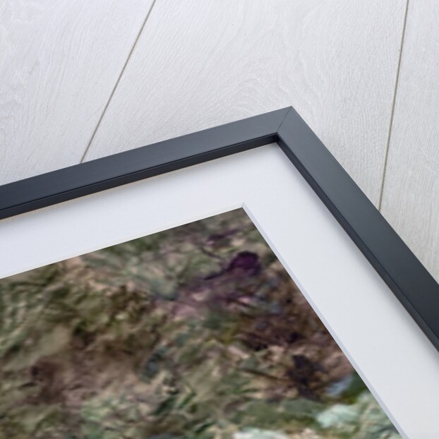 Woman Seated on a Bench in a Park by Henri de Toulouse-Lautrec
