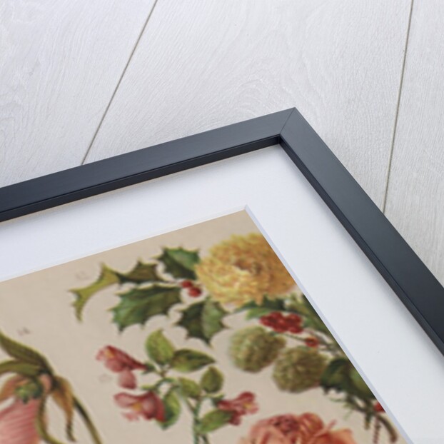 Familiar Flowering Plants by Anonymous