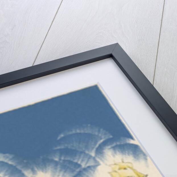 Whaling in the early years by Anonymous