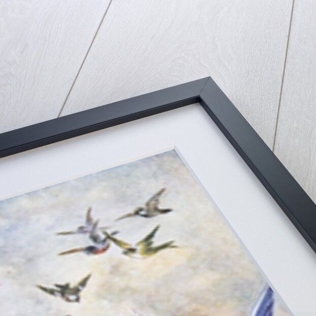 Cindarella with doves by Anonymous