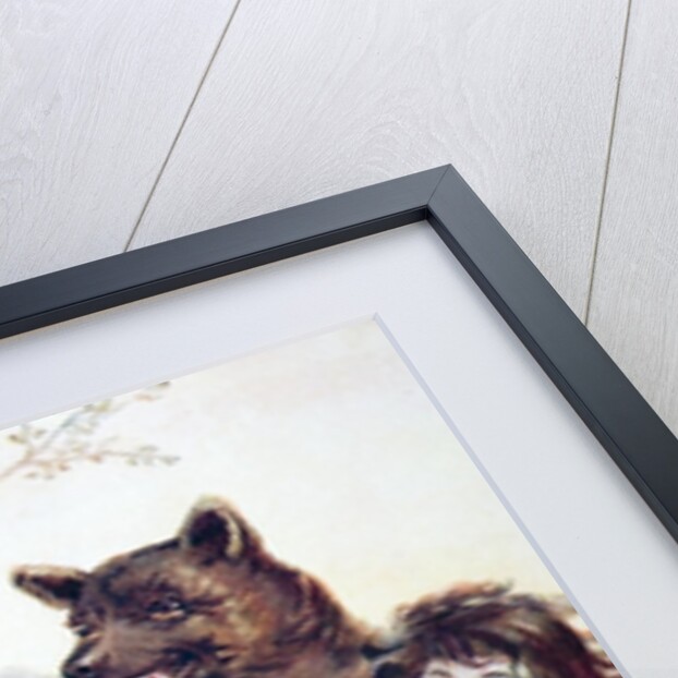 Snow White and Rose Red by Anonymous