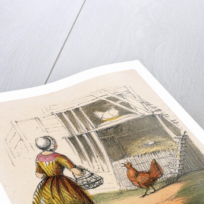 Woman collecting chicken eggs by Anonymous