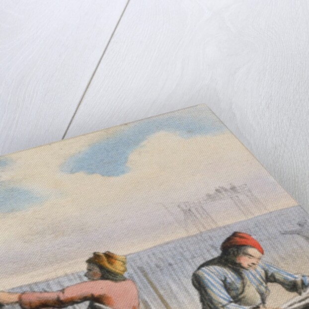Men curing cod by Anonymous