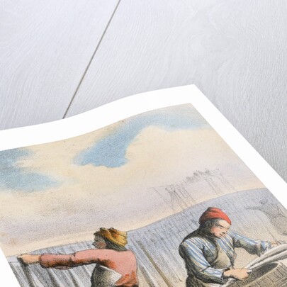Men curing cod by Anonymous