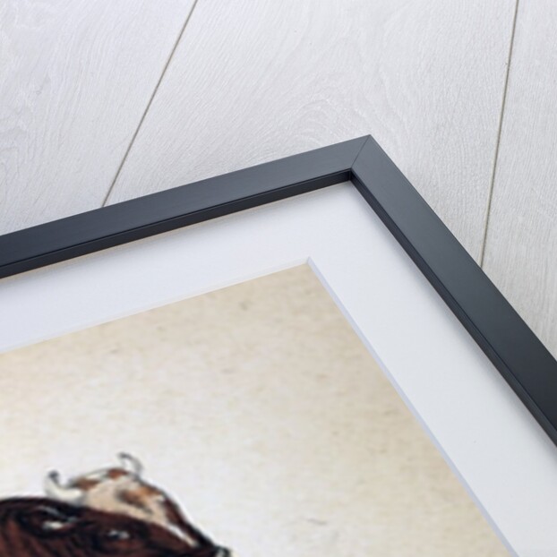 British Short Horn by Anonymous