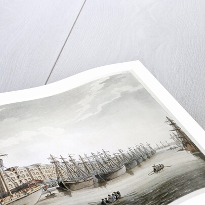 West India Docks by Anonymous