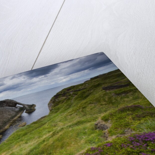 Bow Fiddle Rock, Portknockie, Scotland by Anonymous