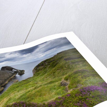 Bow Fiddle Rock, Portknockie, Scotland by Anonymous