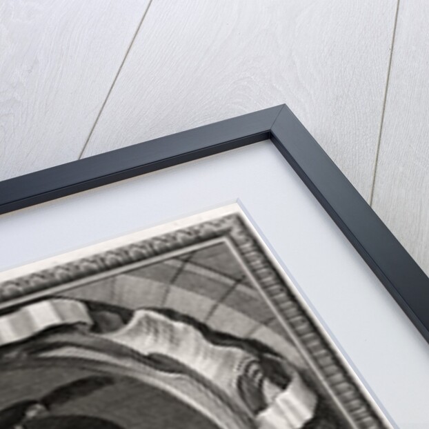 Sir Walter Raleigh by Anonymous