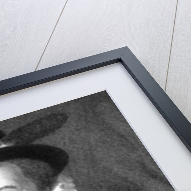 Sir Walter Raleigh by Anonymous